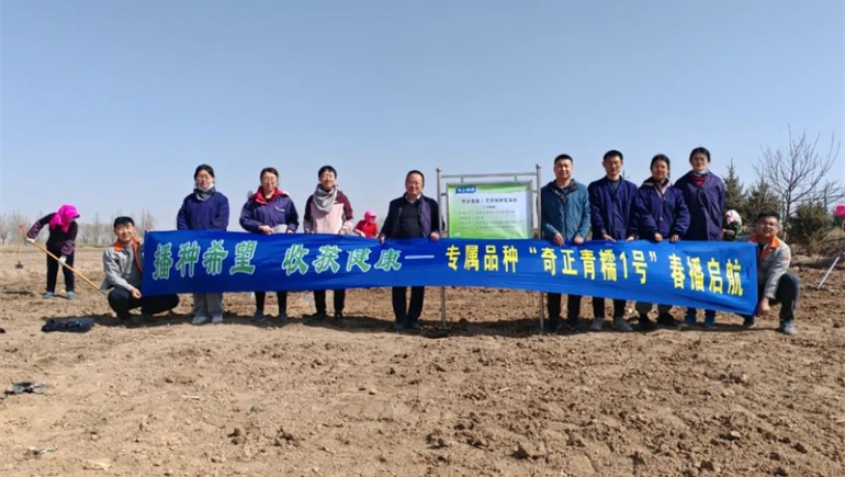 “6966集团青糯1号”春播启航