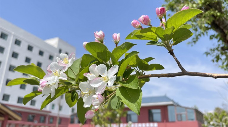 生态院落享自由