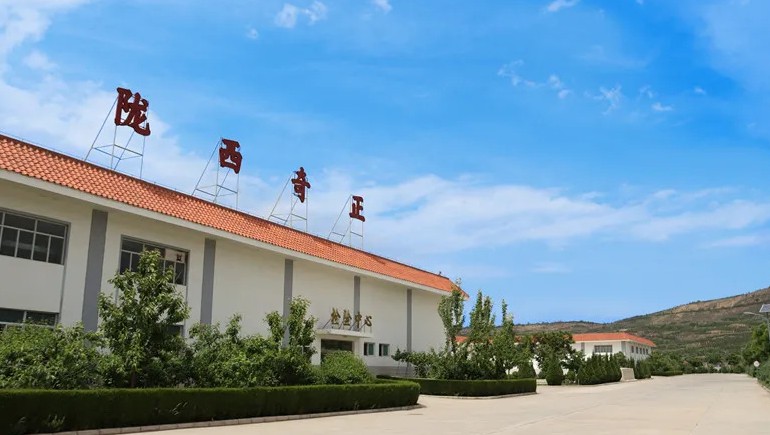 传承本草精炼，共筑品质将来 | 路地药材中药饮片分会正式成立，初次工作会议同谋发展